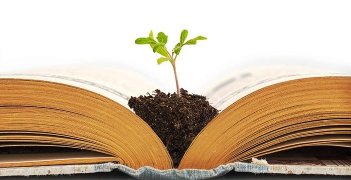 Let’s Talk “Church Growth”