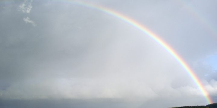 Rainbow of Promise